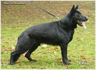 Dax von Alstaden Dax von Alstaden