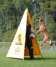 Boy vom Hölzleswald Boy vom Hölzleswald