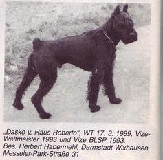 Dasko vom Haus Roberto Dasko vom Haus Roberto