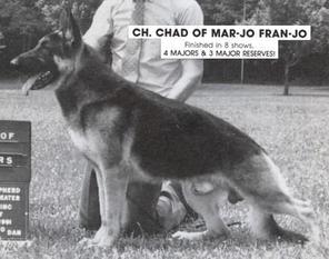 Chad of Mar-Jo Fran-Jo Chad of Mar-Jo Fran-Jo