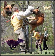 Lindjax Buttrix Lindjax Buttrix