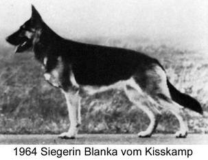 Blanka vom Kisskamp Blanka vom Kisskamp