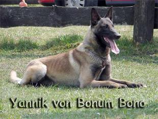Yannik von Bonum Bono Yannik von Bonum Bono