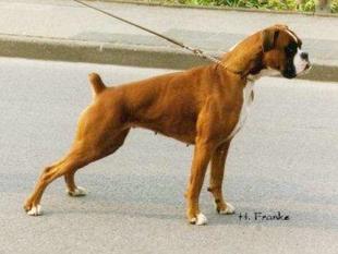 Unita vom Rottland Unita vom Rottland