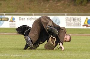Faust vom Paderquell Faust vom Paderquell