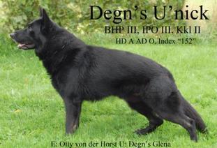 Degn's U'Nick Degn's U'Nick