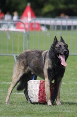 E'Kijin du Musher E'Kijin du Musher