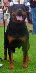 Xenia von der Holzhaussiedlung Xenia von der Holzhaussiedlung