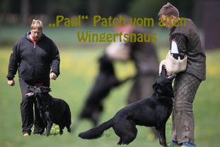 Patch vom alten Wingertshaus Patch vom alten Wingertshaus