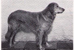 Artus von der Bärenburg Artus von der Bärenburg