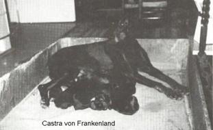 Castra vom Frankenland Castra vom Frankenland