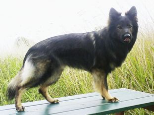 Fetzer vom Großen Ex Fetzer vom Großen Ex