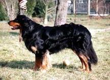 Bild von Aaron vom Völkerschlachtdenkmal