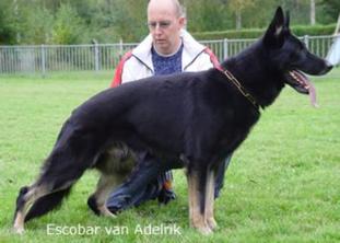 Escobar van Adelrik Escobar van Adelrik