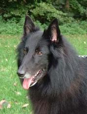 Noble Jack of Dark Brightness Noble Jack of Dark Brightness
