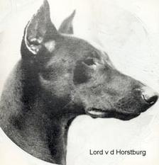 Lord von der Horstburg Lord von der Horstburg