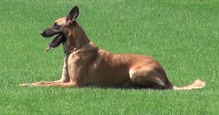 Caesaromago Ora Caesaromago Ora