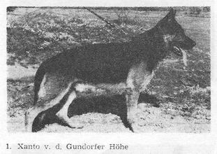 Xanto von der Gundorfer Höhe Xanto von der Gundorfer Höhe