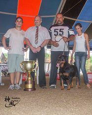Bavaria Ives Black Champion Bavaria Ives Black Champion