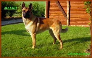 Malko LOF 33990/5092 (Gouraud) Malko LOF 33990/5092 (Gouraud)