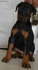 Alvarez Anna von Zeus Tal Alvarez Anna von Zeus Tal