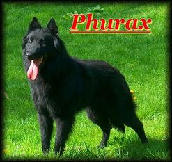 Phurax de la Vallée des Suessiones Phurax de la Vallée des Suessiones