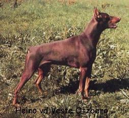 Heino von der Veste Otzberg Heino von der Veste Otzberg