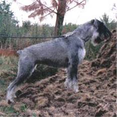 Alexa aus der Uckermark Alexa aus der Uckermark