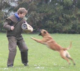 Gringo vom Further Moor Gringo vom Further Moor