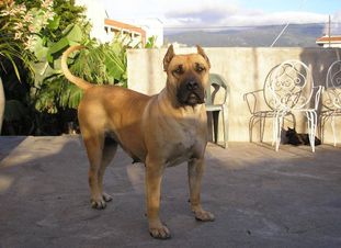 Garafra de Garehagua Garafra de Garehagua