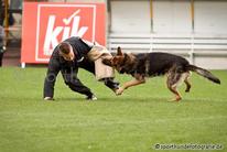 Aik vom Linzgau