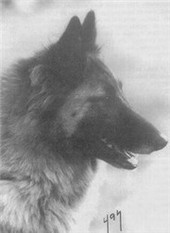 Esy du Crépuscule des Loups Esy du Crépuscule des Loups