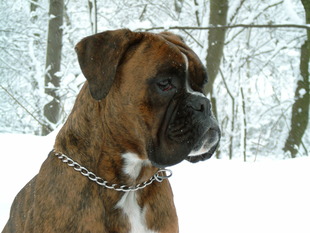 Quba von Maximilian Quba von Maximilian
