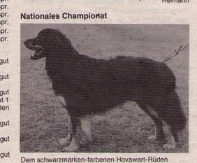 Castor aus der Räuberhöhle Castor aus der Räuberhöhle
