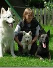 Elfriede Kainer