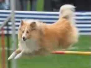 Buster of Pride Castle Buster of Pride Castle