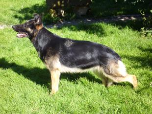 Hetty von MaKeRa Hetty von MaKeRa