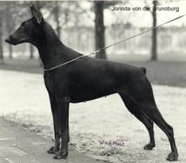 Jorinda von der Brünoburg Jorinda von der Brünoburg