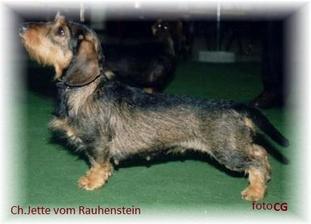 Jette von Rauhenstein Jette von Rauhenstein