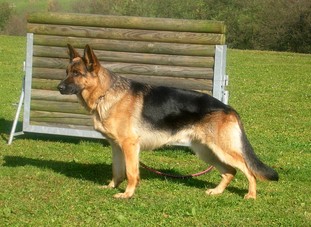 Ranox von Lacroz Ranox von Lacroz