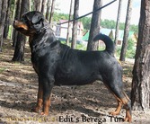 Edit's Berega Turi