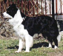 Zeabo Ethel Zeabo Ethel