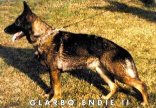 Glarbo Endie II Glarbo Endie II