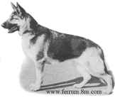 Cobert's Ernestine