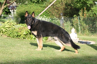 Aky vom bösem Blick Aky vom bösem Blick