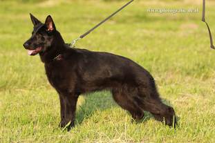 Sydney von Eicken-Bruche Sydney von Eicken-Bruche