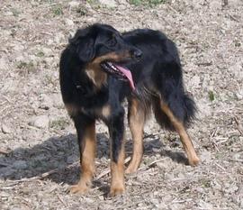 Babossa von Troja Babossa von Troja