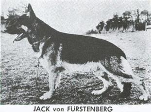 Jack vom Fürstenberg Jack vom Fürstenberg