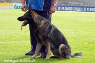 Don von der Lutter Don von der Lutter