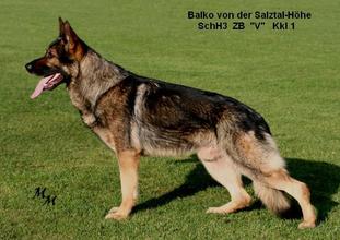 Balko von der Salztal-Höhe Balko von der Salztal-Höhe
